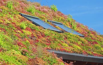 Thornford living roof systems